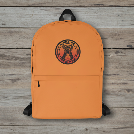 Super orange Buddha Bear backpack on wooden slats