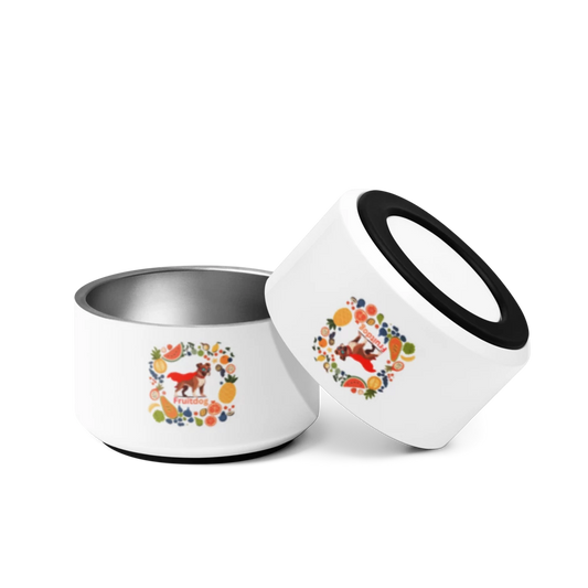 Premium Stainless Steel Pet Bowl - Non-Slip Base